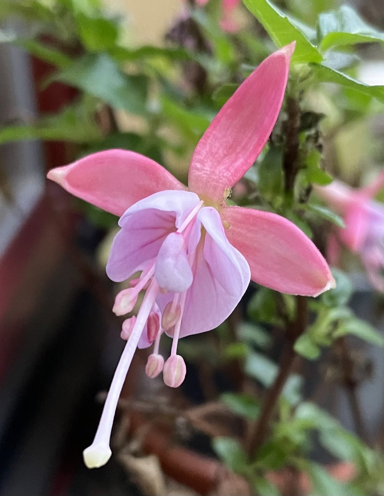 F744EDC6-0180-4E7C-8AA5-E20B6684A0D3