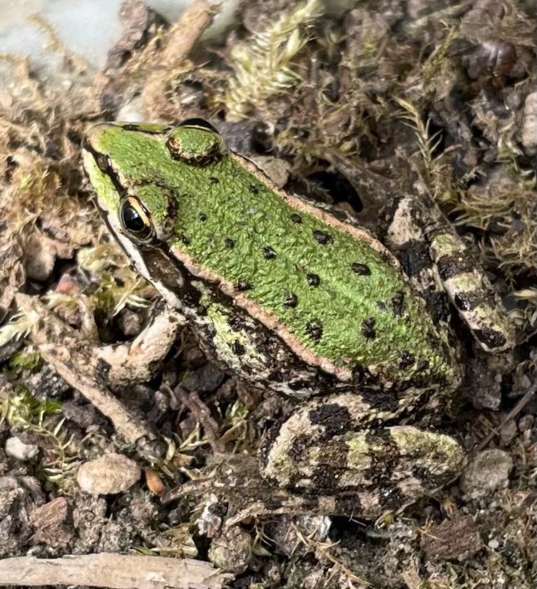 F75C9E80-D8D0-4DCC-9A75-4986C029D8A6