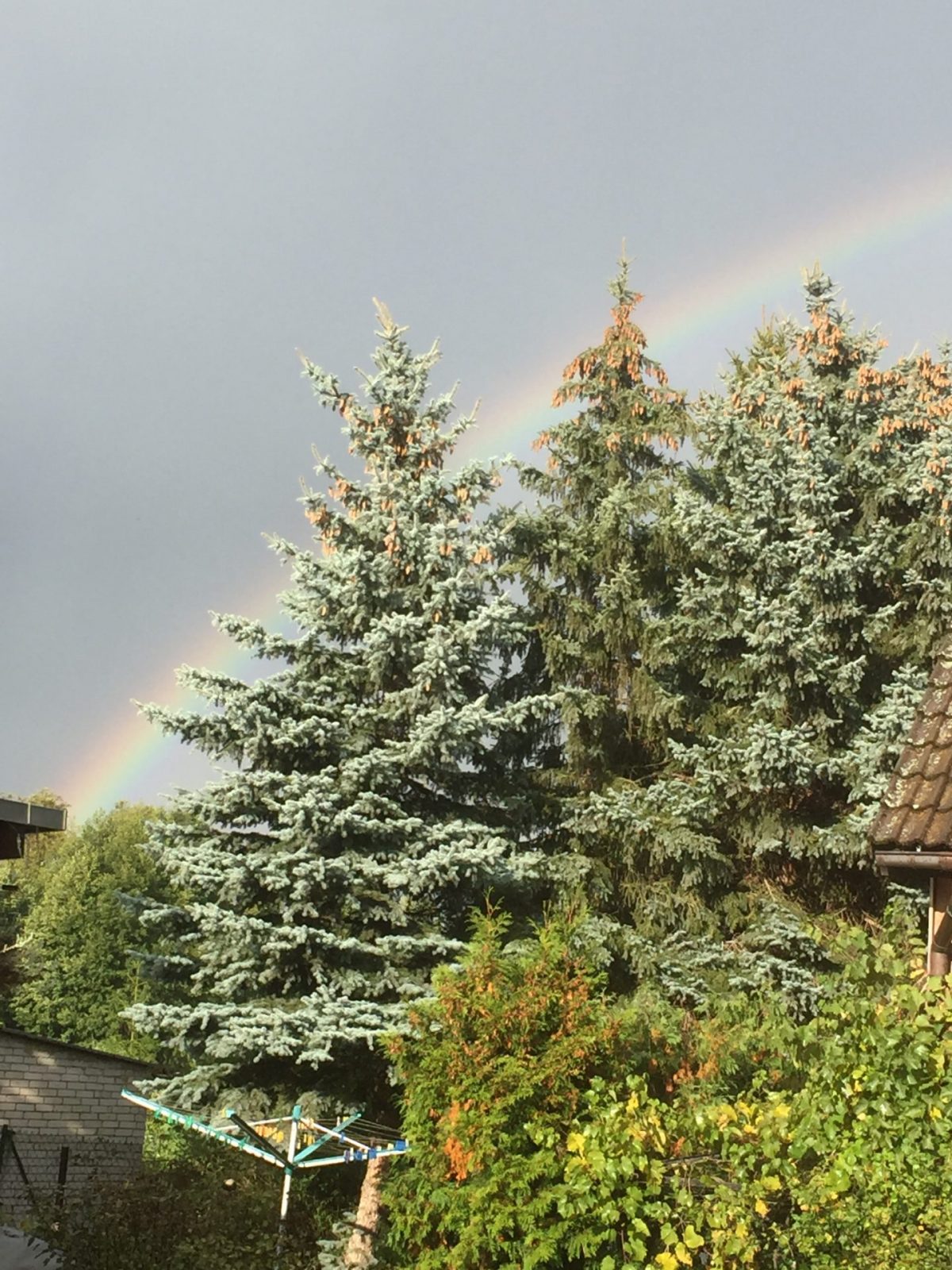 F80011D4-96B7-4F48-82AC-F0DA6E581F95