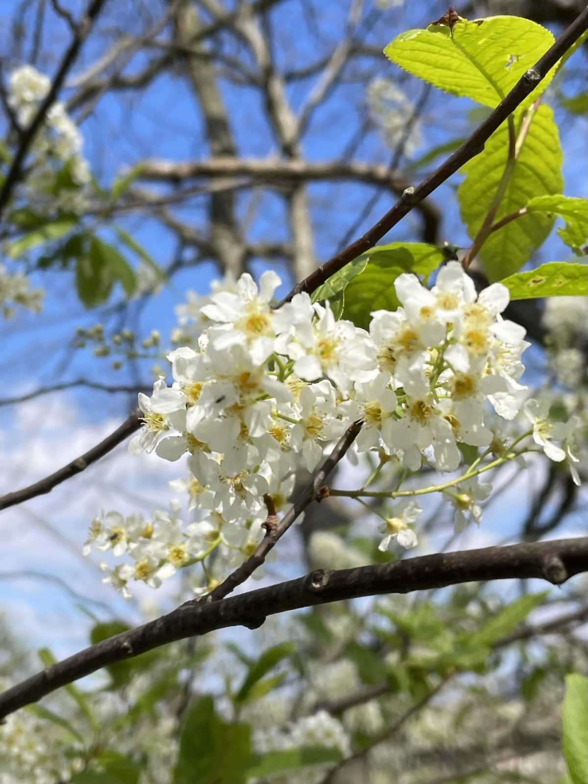 F8B5BDB1-BDC1-4A4A-AF97-4546A567F68F