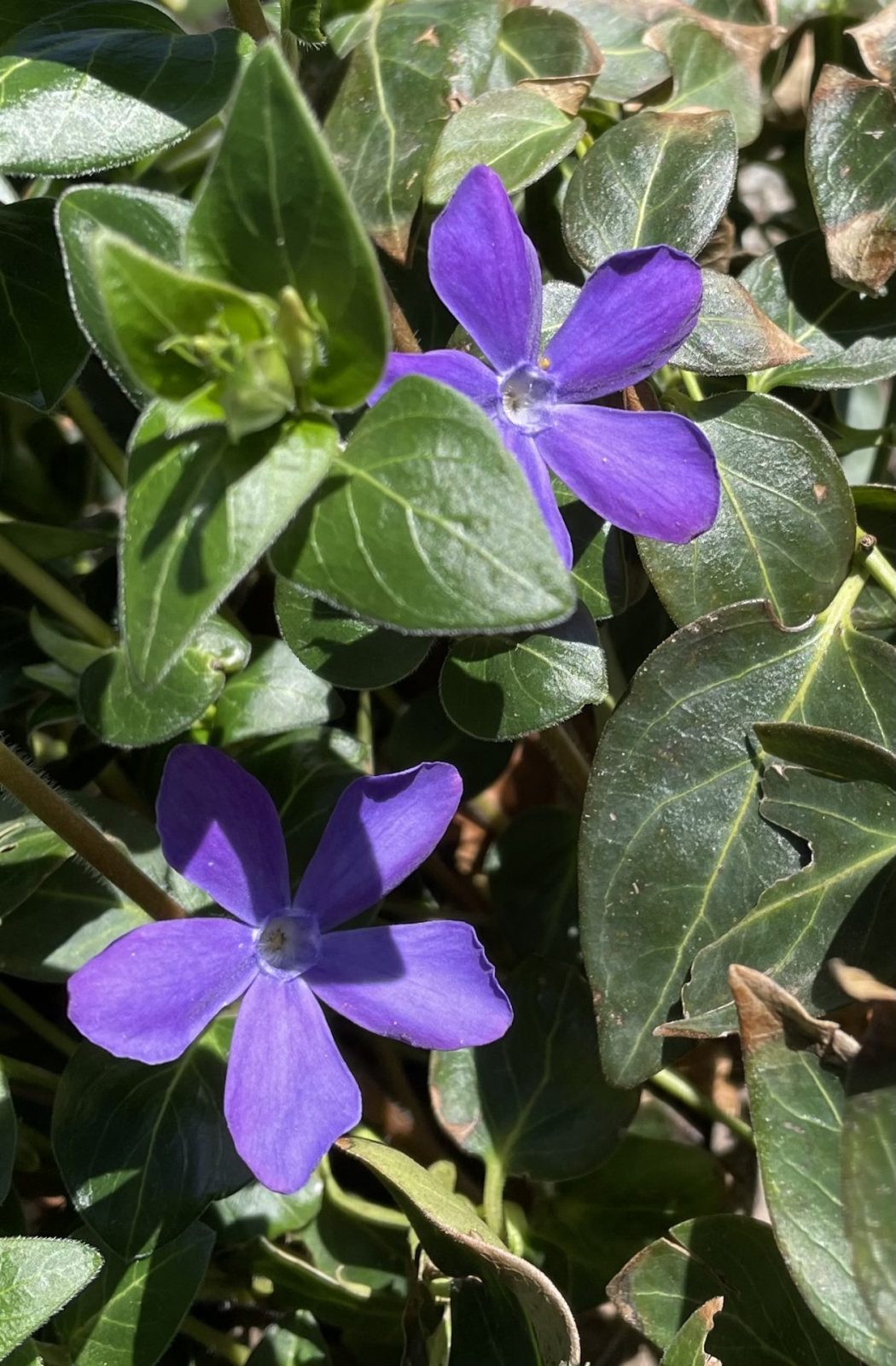 F8BA8B12-7698-425E-BA79-08D2C3F4C77B