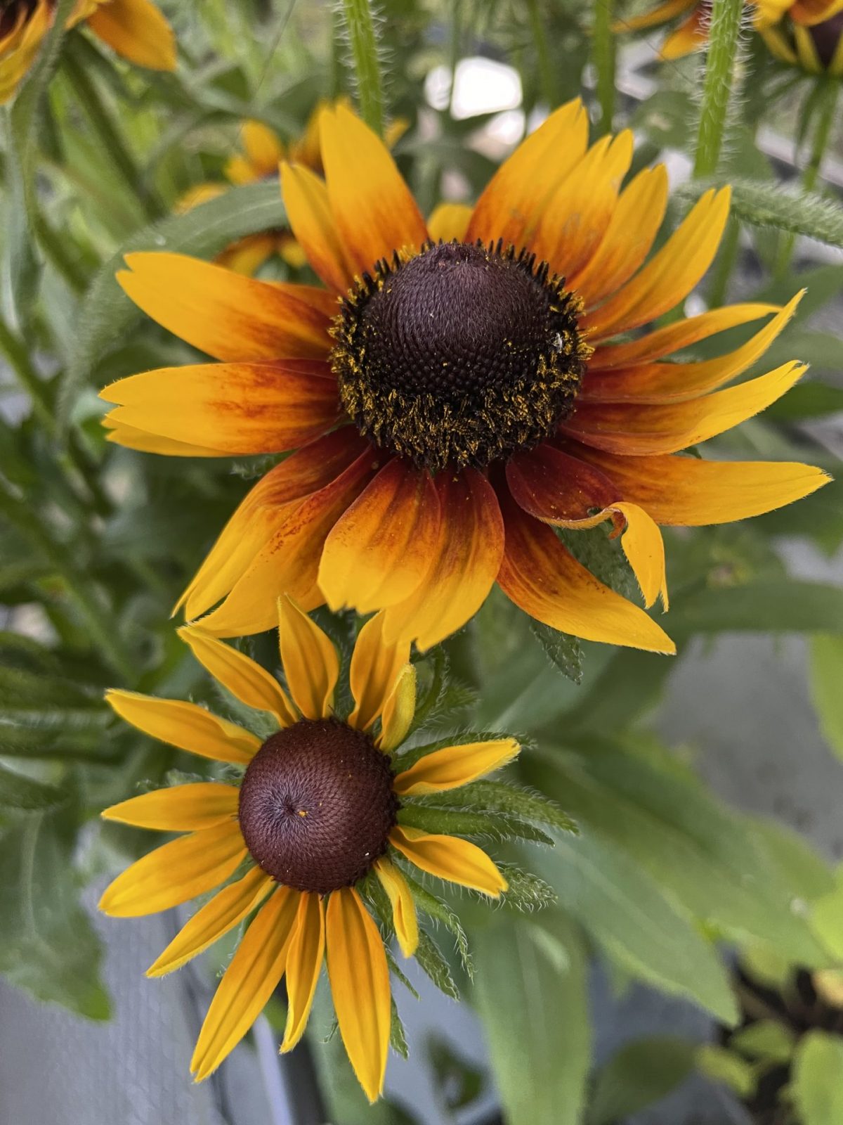 F8EE76AD-66EE-4DCA-91CD-61FBBCB1CDA3