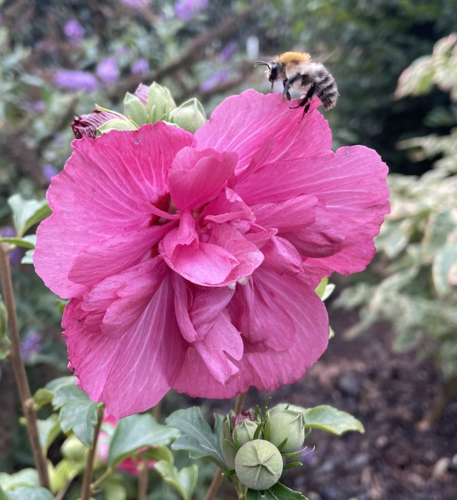 F92AB03E-725D-4057-A4ED-7FC9FE9DD1C6