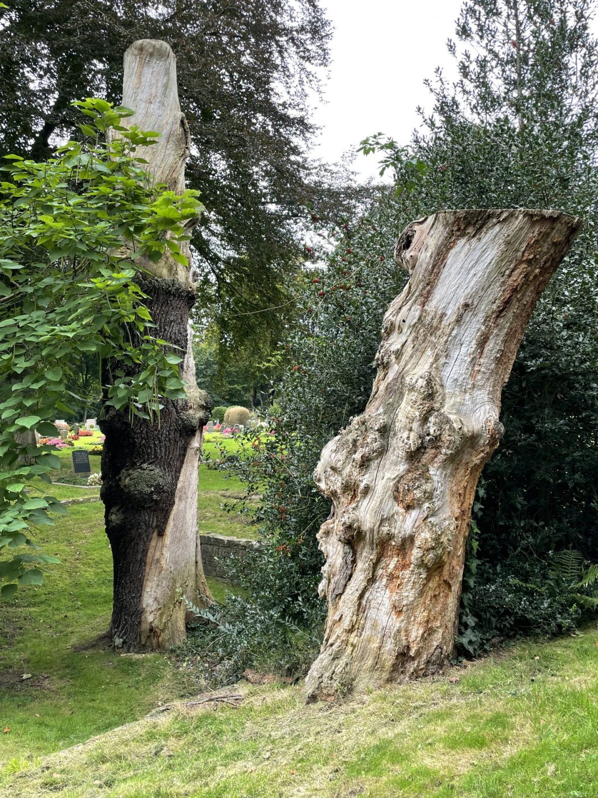 F9BC6714-ECB0-4C6E-A182-049BEEF52427