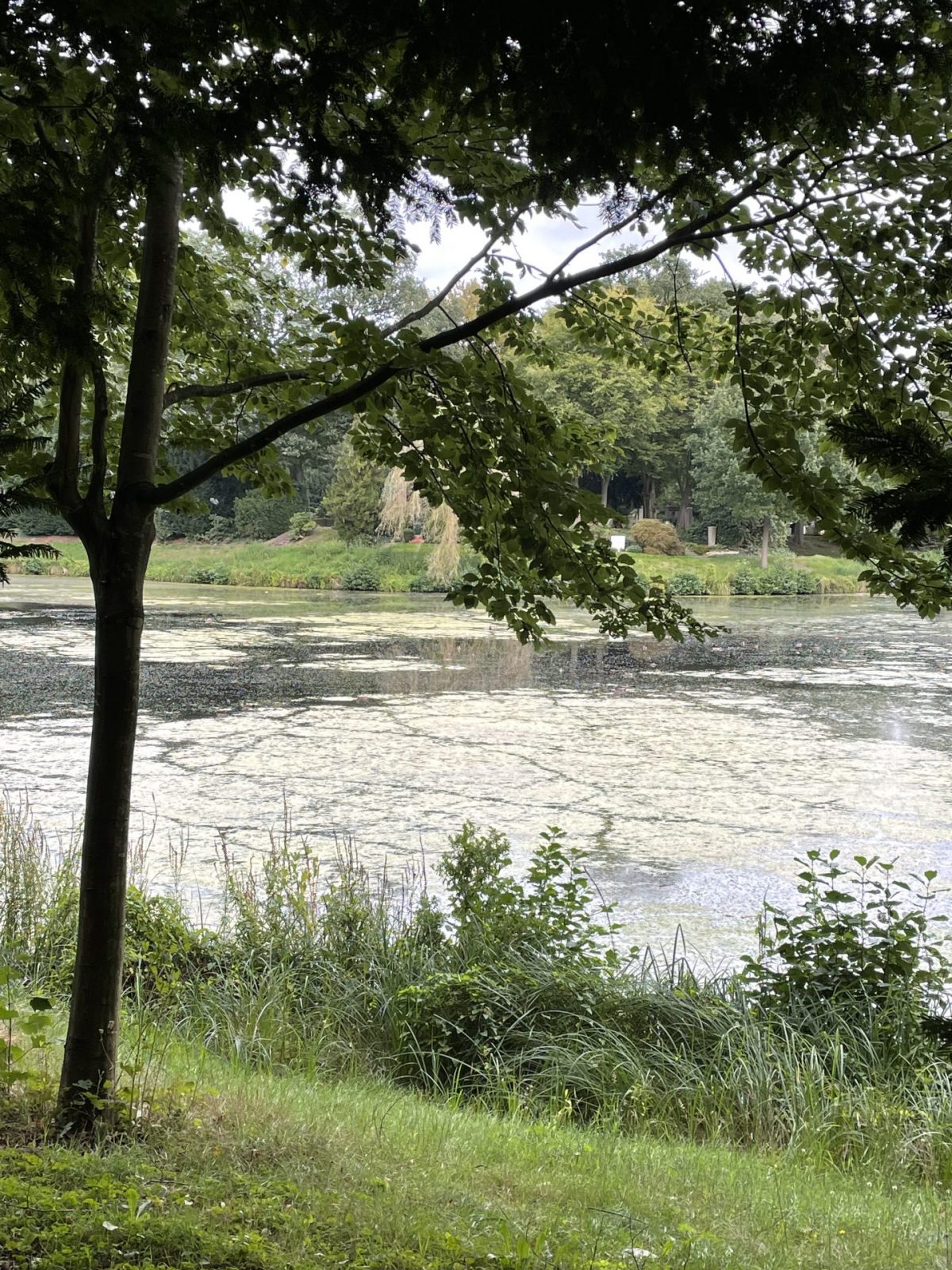 FA1A59AA-6AD5-4FC0-AE94-8A83A97CE87A