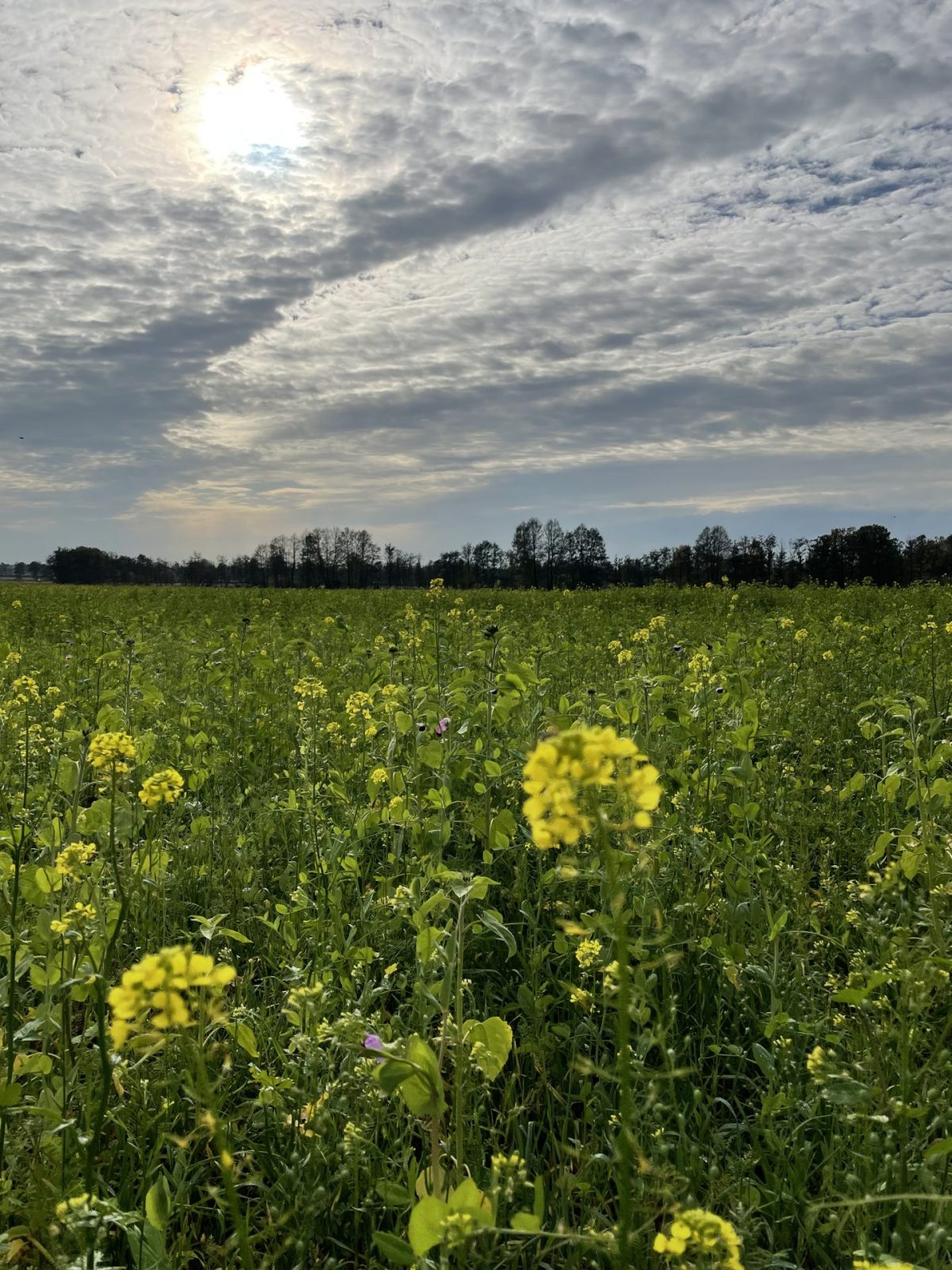 FA6C8D34-A55C-49A3-933A-F0B415023214