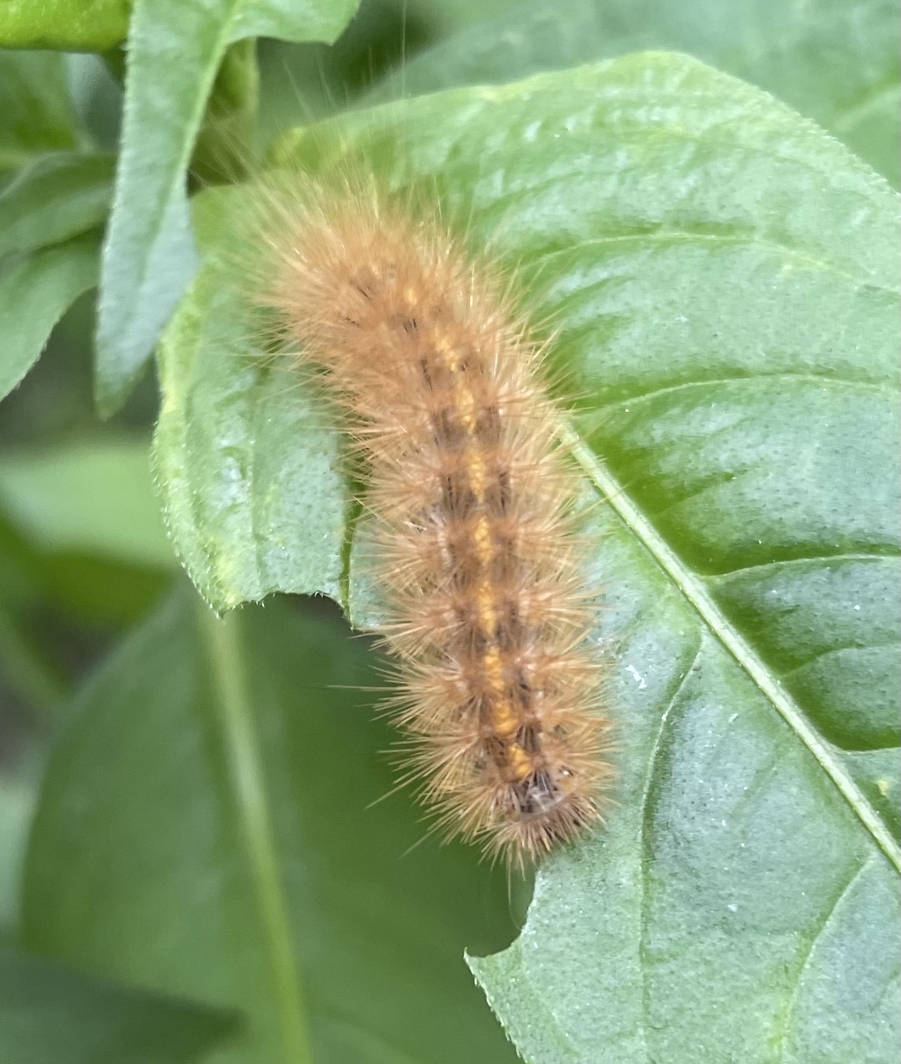 FB6B5CCA-0B7E-4FE8-8CC2-7728F82948A3