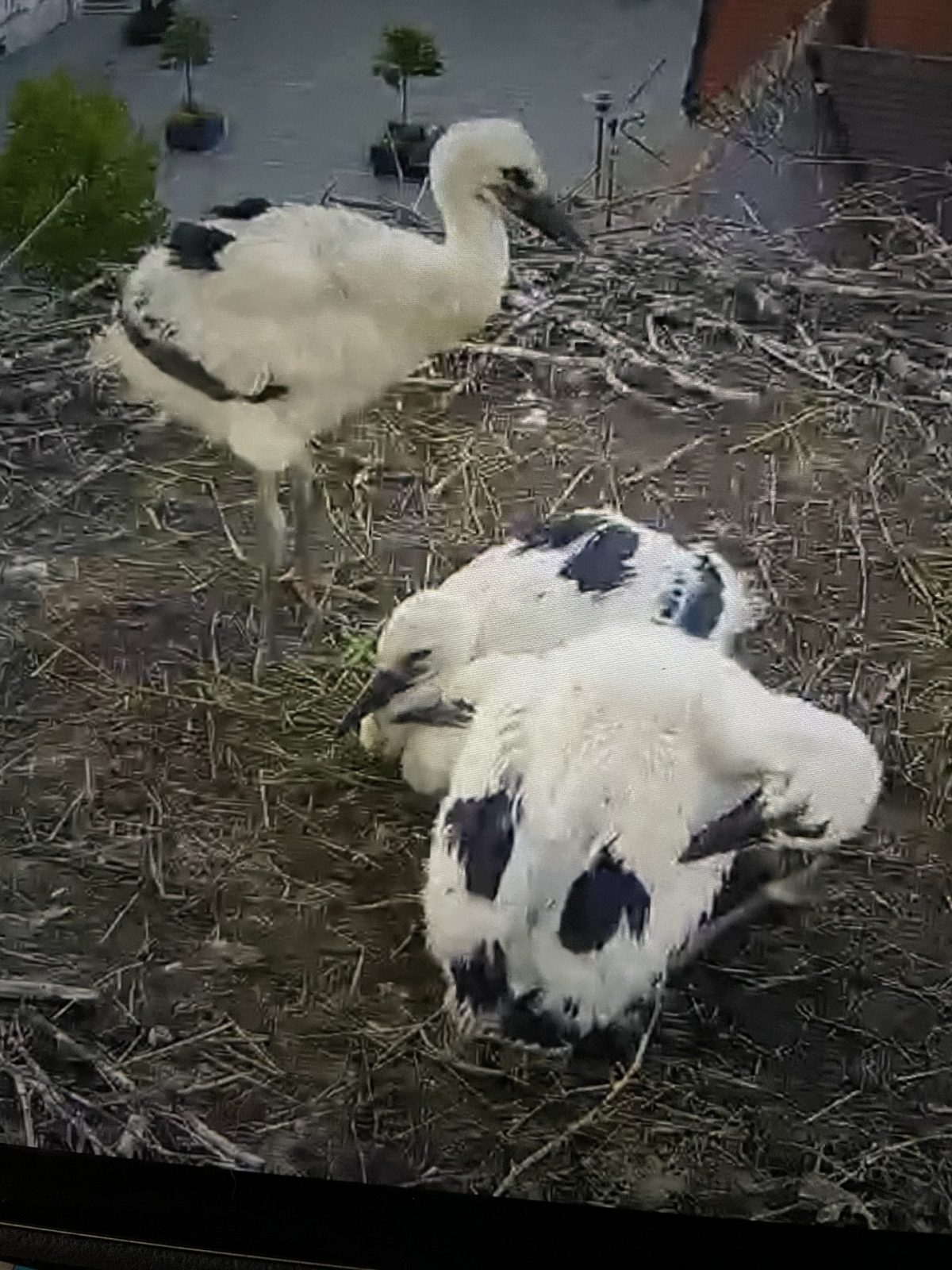 FBC77897-BA09-41E8-A4E7-32397031DCDE