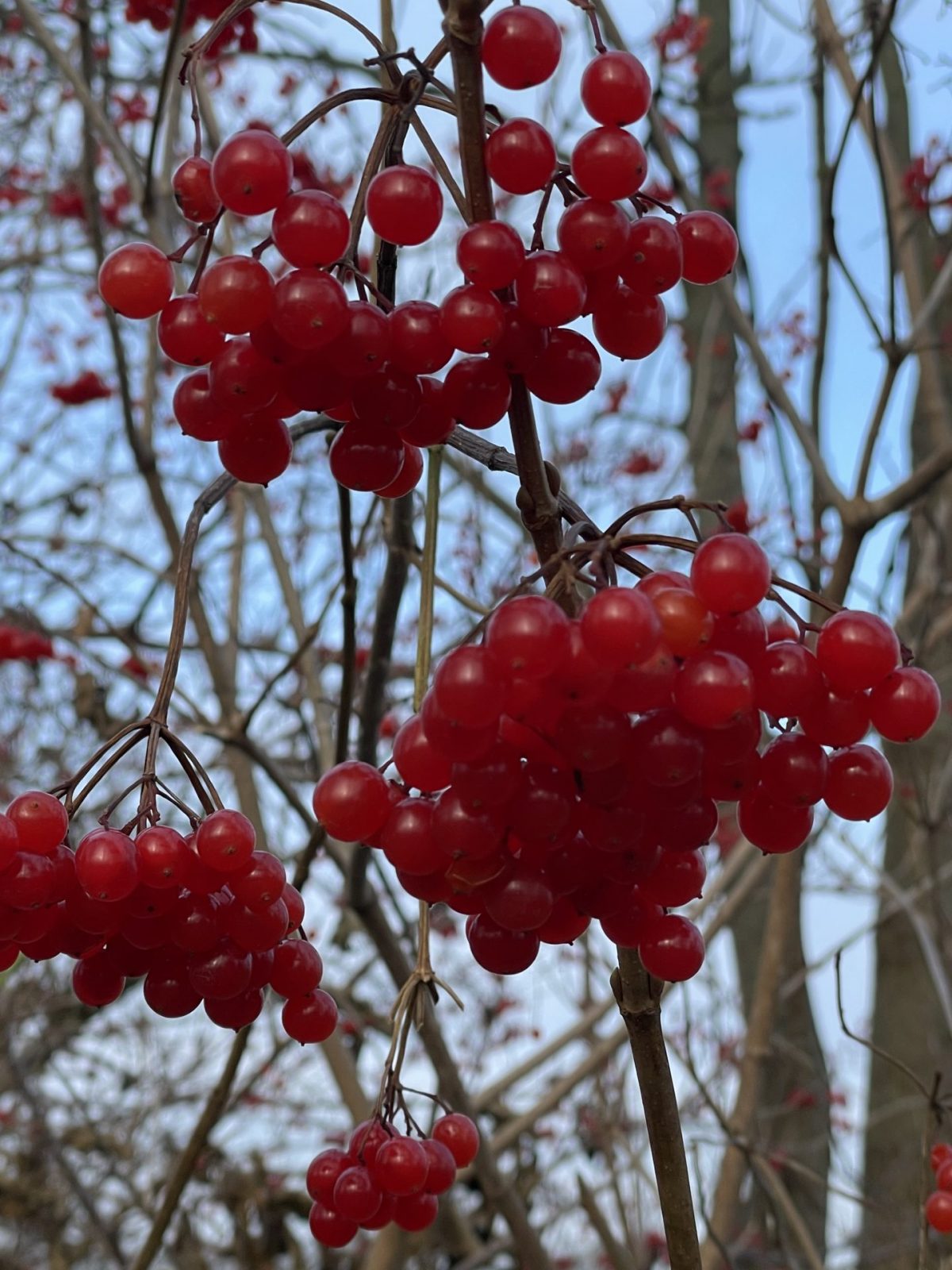 FBEE8B9E-41DA-4A44-885A-3E7BBAC26E4C