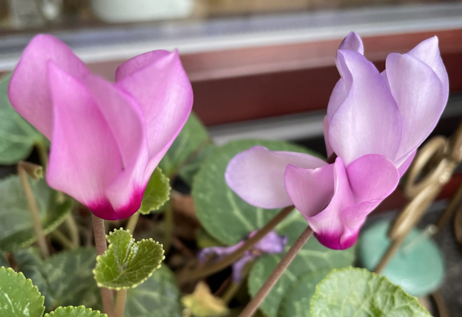 FBF3B17B-BD9E-4916-9A7E-1B4125686A06