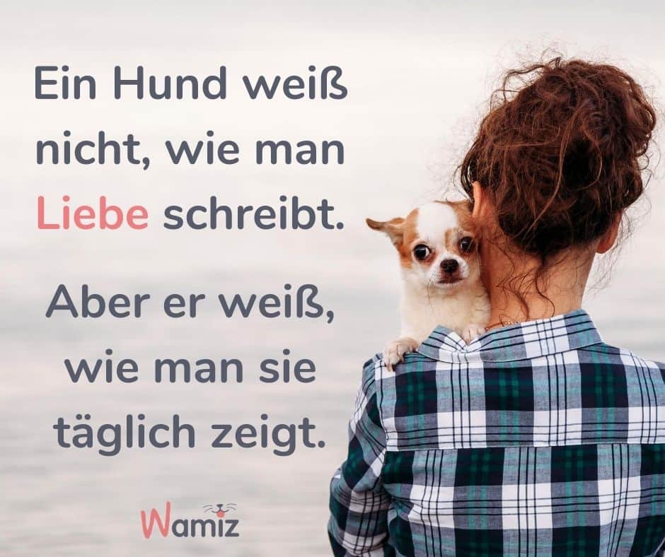 FB_IMG_1595688468595