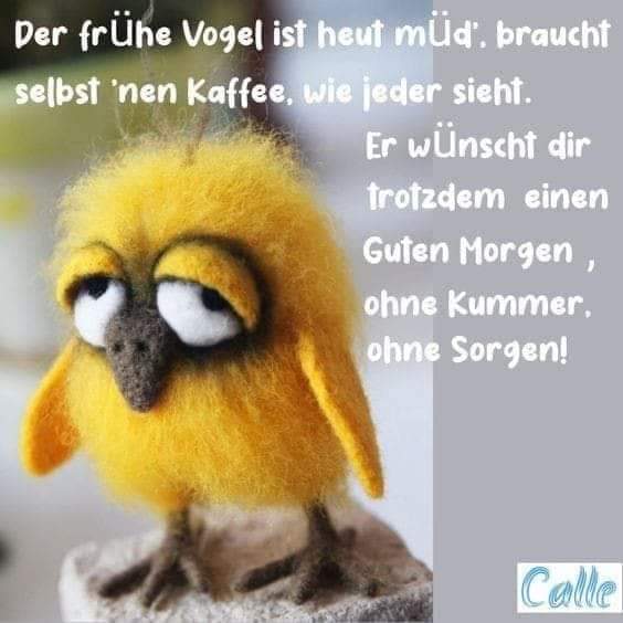 FB_IMG_1717735927118