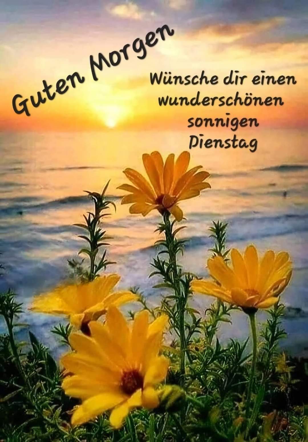 FB_IMG_1719292601141