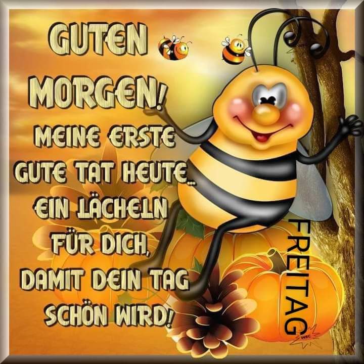 FB_IMG_1721971039192