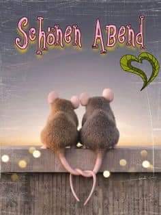 FB_IMG_1722012648655