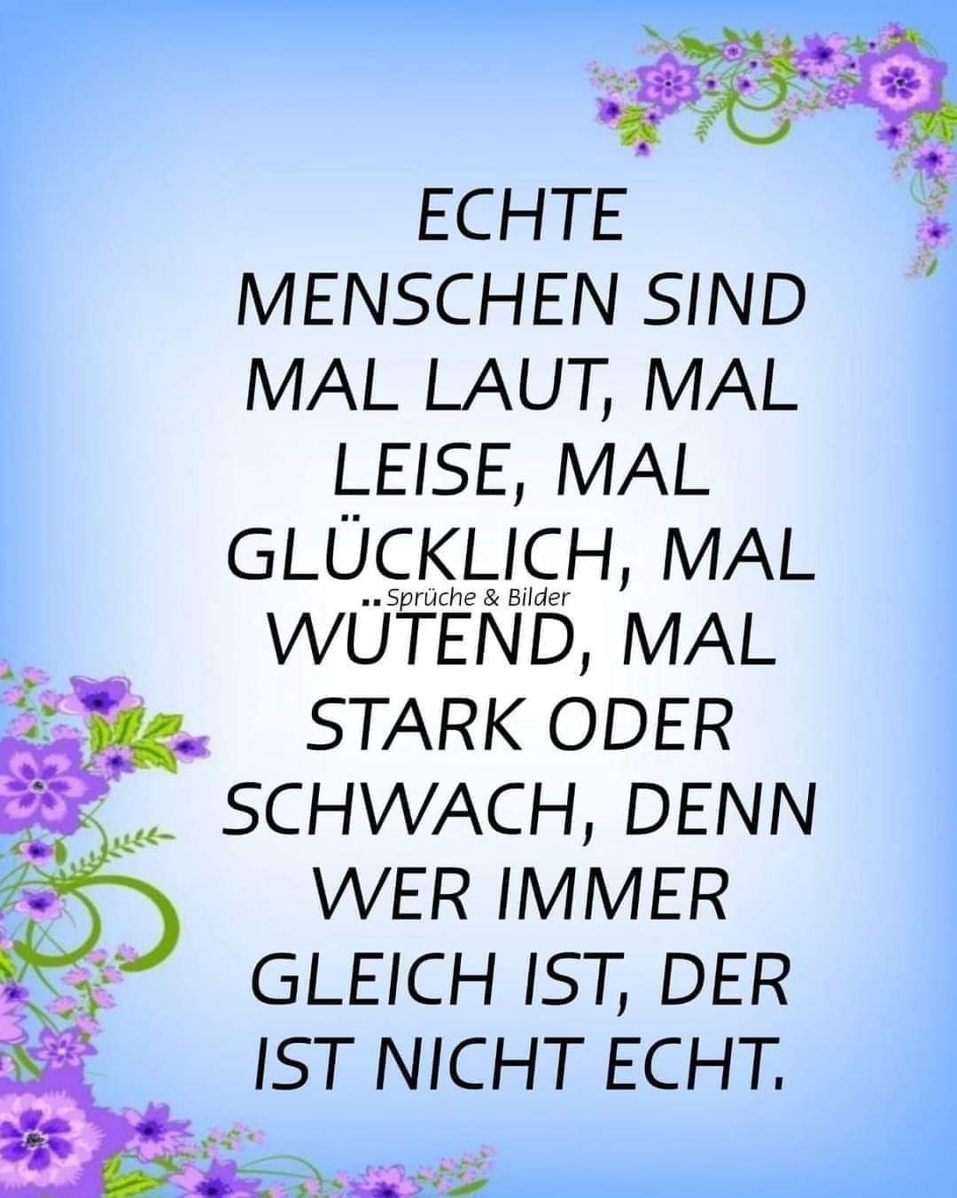 FB_IMG_1722059919085