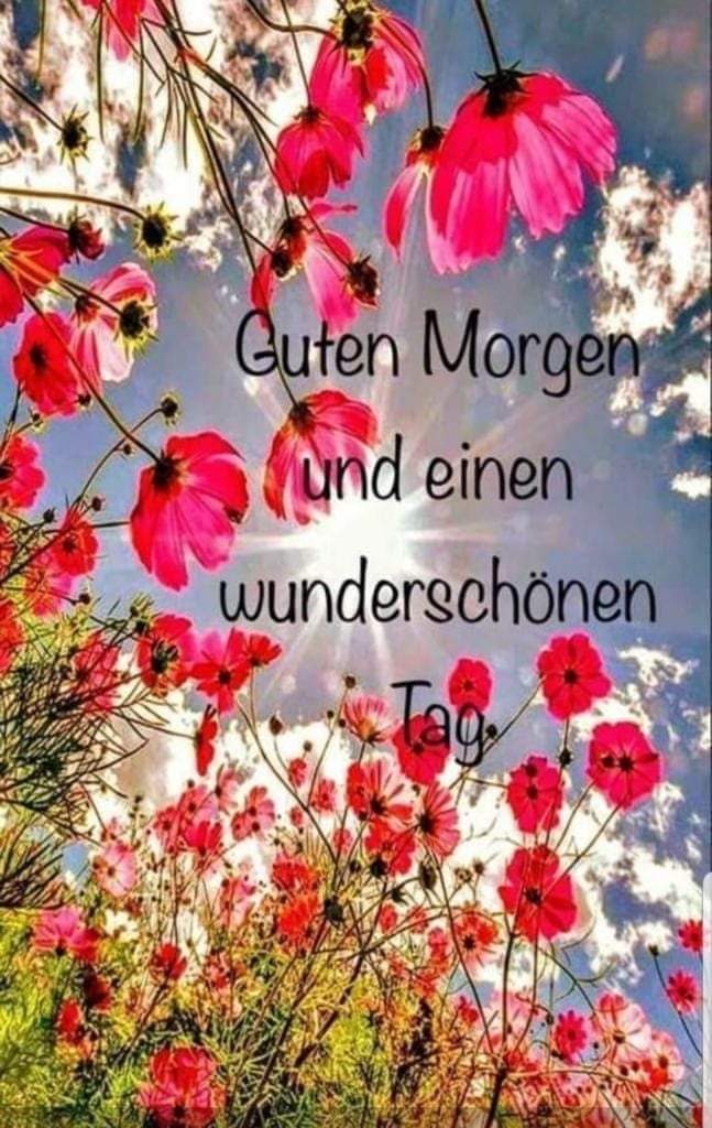 FB_IMG_1722230572126