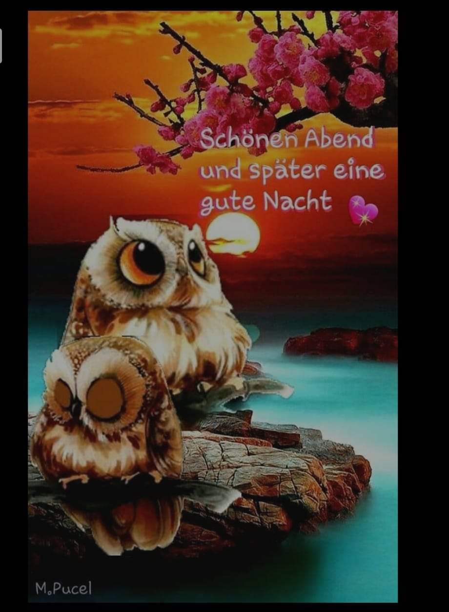 FB_IMG_1722269967246