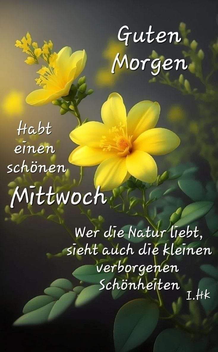 FB_IMG_1722403693090