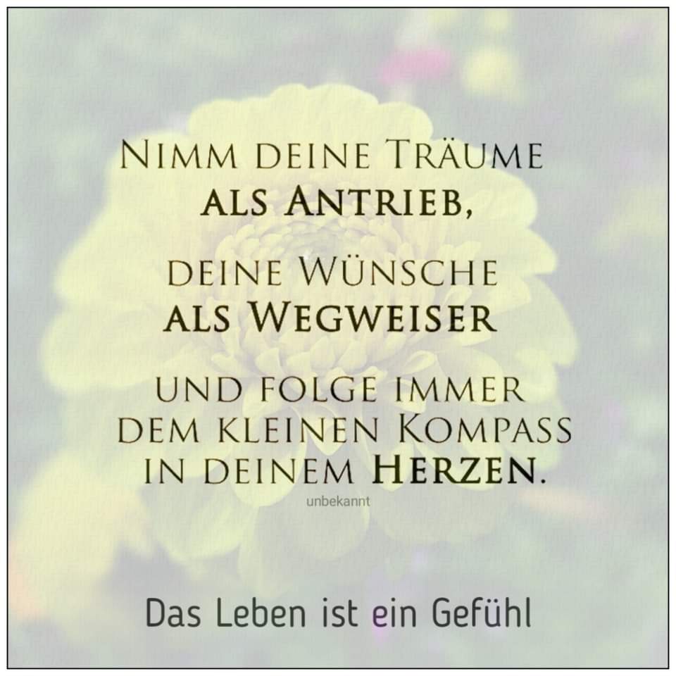 FB_IMG_1722403874976