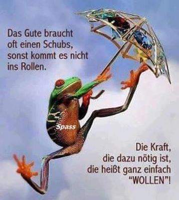 FB_IMG_1722921516868