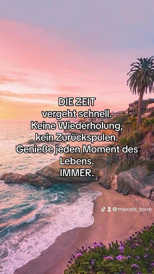 FB_IMG_1724689580278