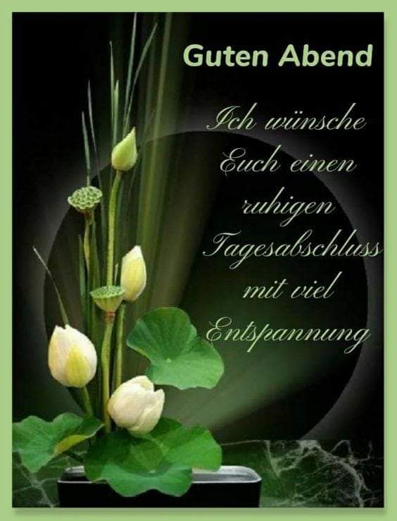 FB_IMG_1724776782570