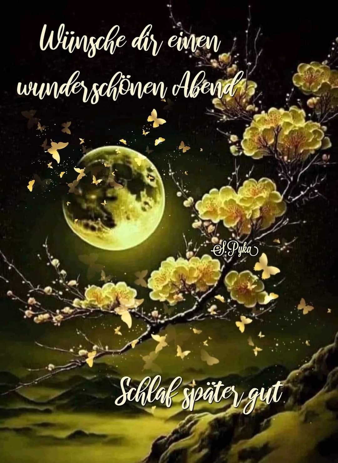 FB_IMG_1724863456175