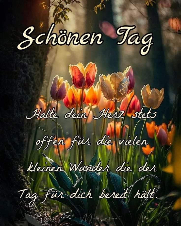 FB_IMG_1725338770344