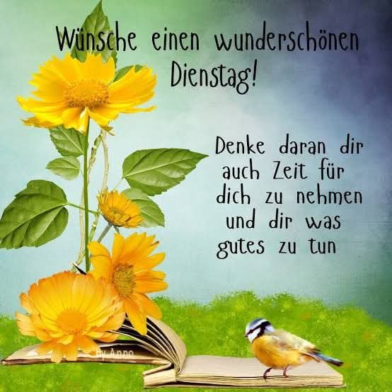 FB_IMG_1754375179731