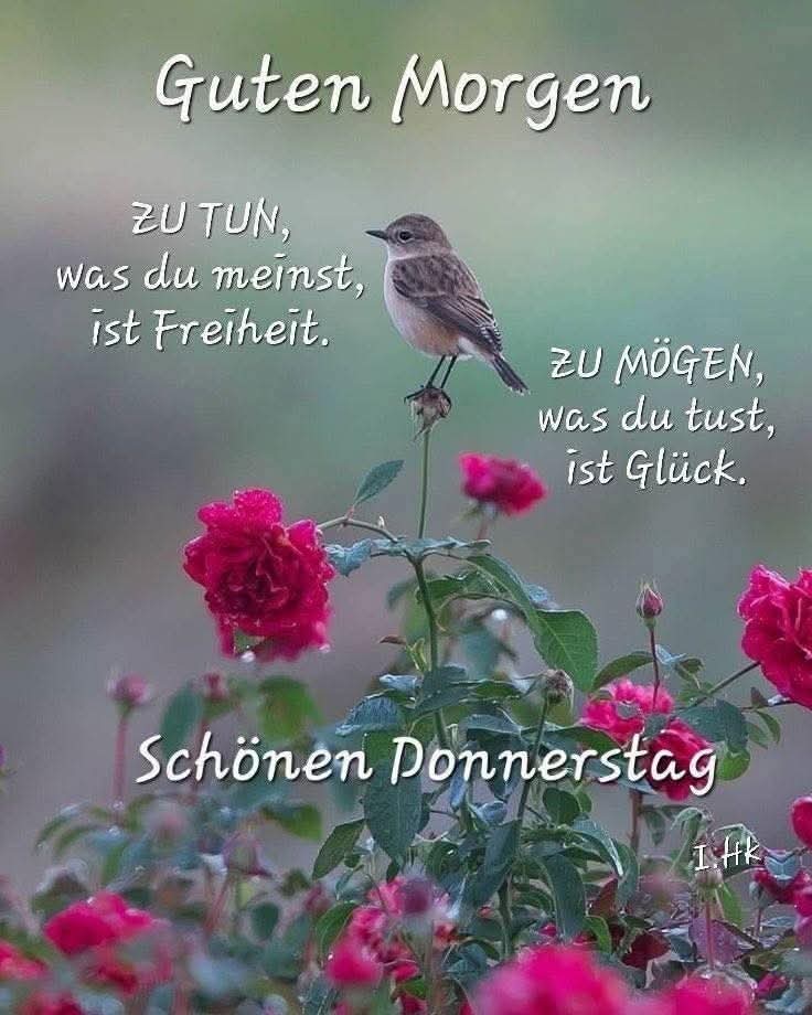 FB_IMG_1754552084047