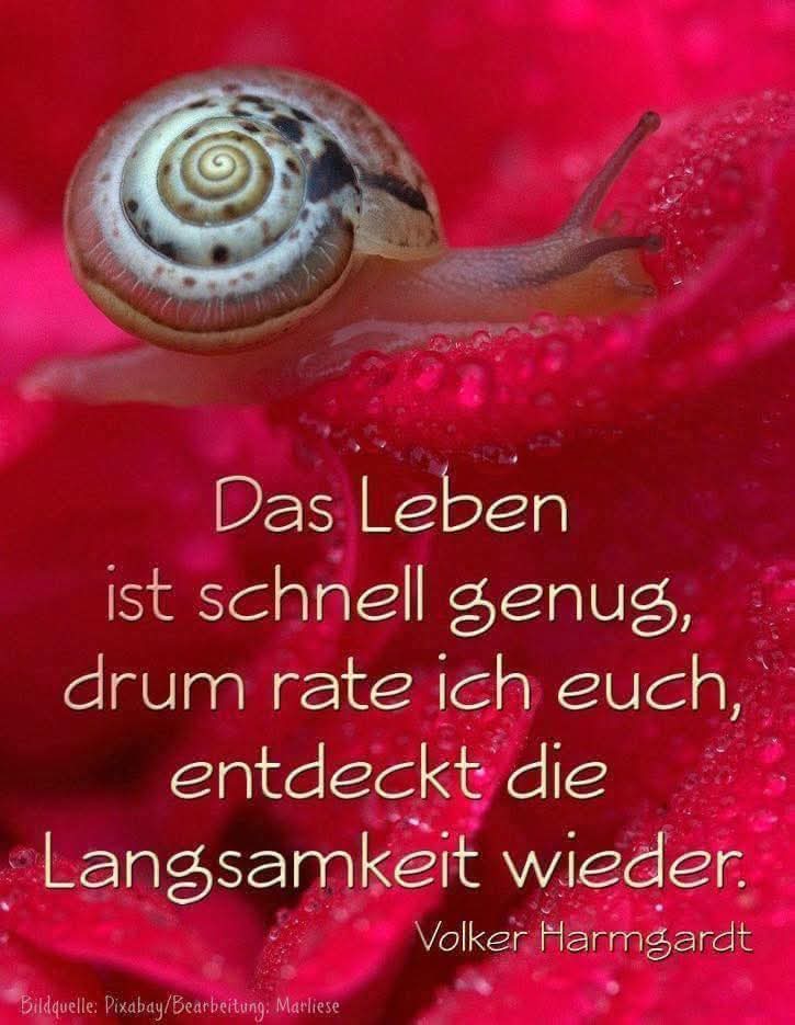 FB_IMG_1755067543040