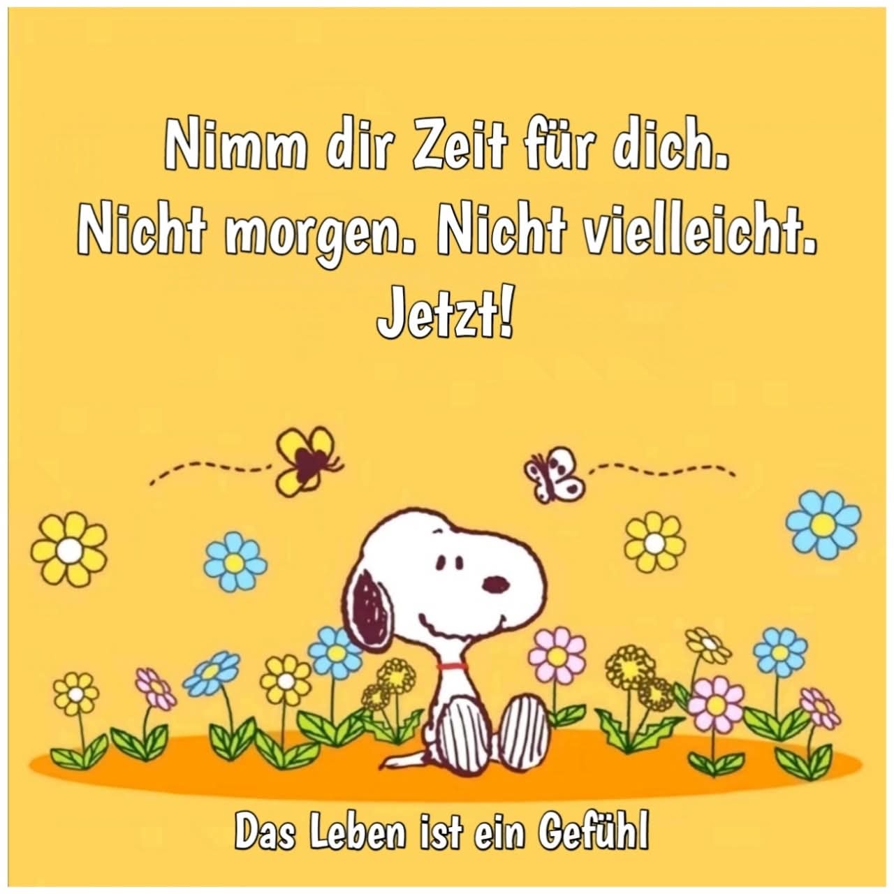 FB_IMG_1757141692879