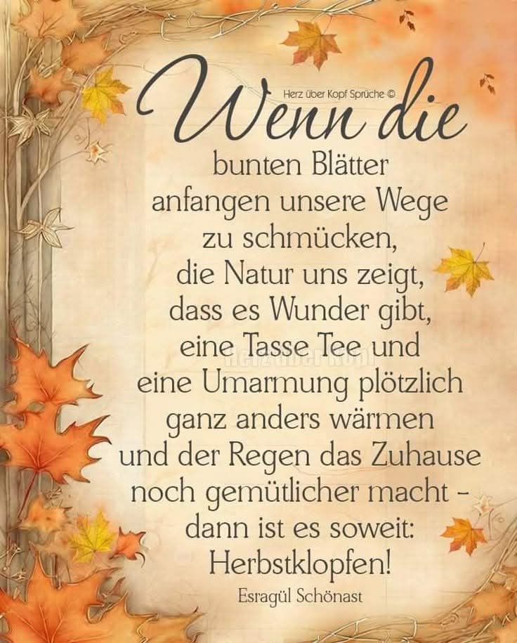 FB_IMG_1757317478133