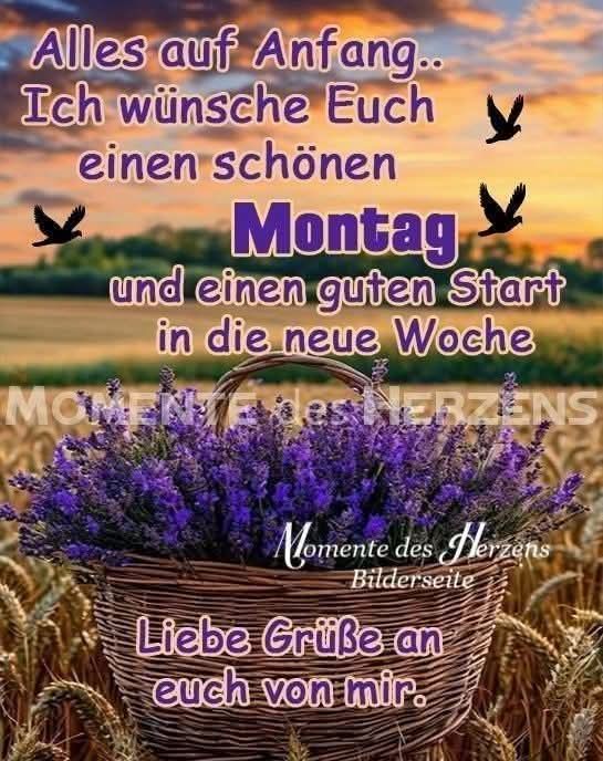 FB_IMG_1757923433860