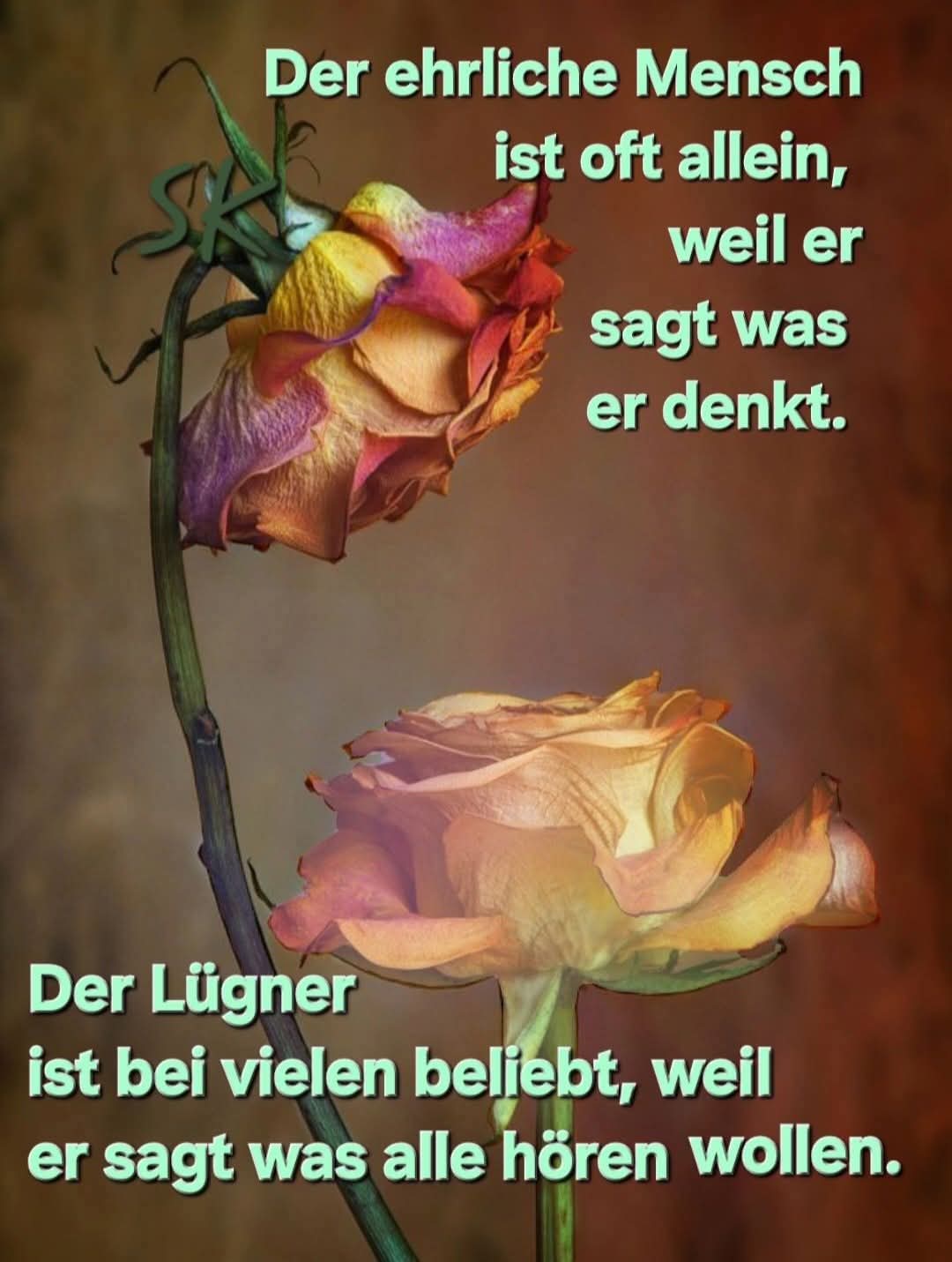 FB_IMG_1758270535624