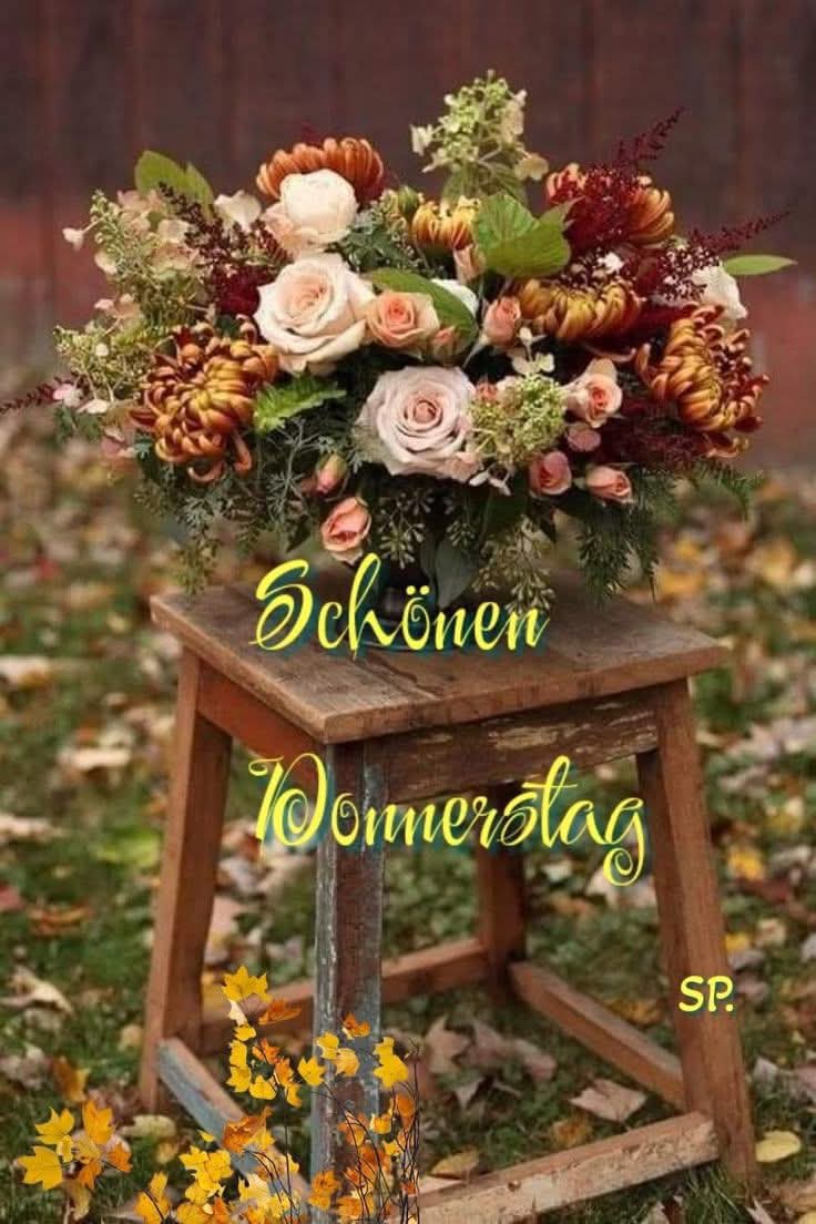 FB_IMG_1759393429368