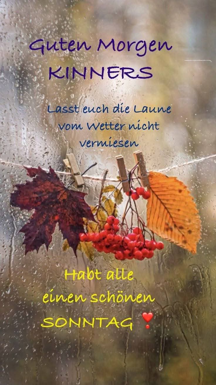 FB_IMG_1759644166416