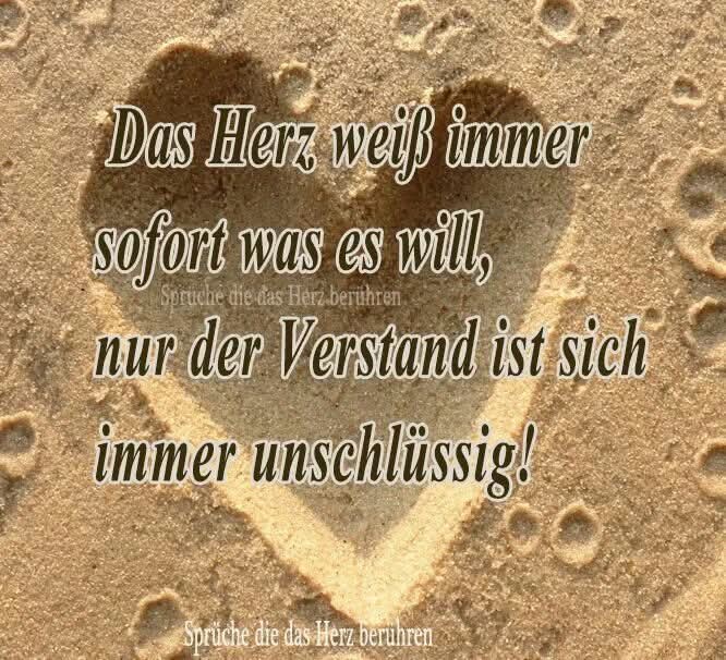 FB_IMG_1761288711566