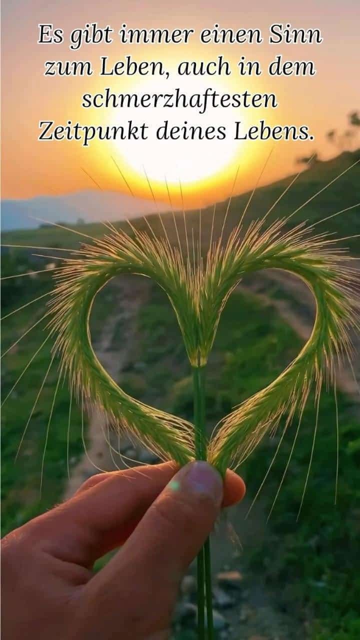 FB_IMG_1761555734533