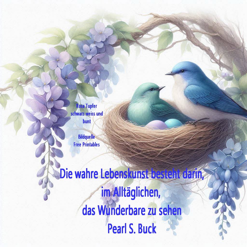 FB_IMG_1763034984089