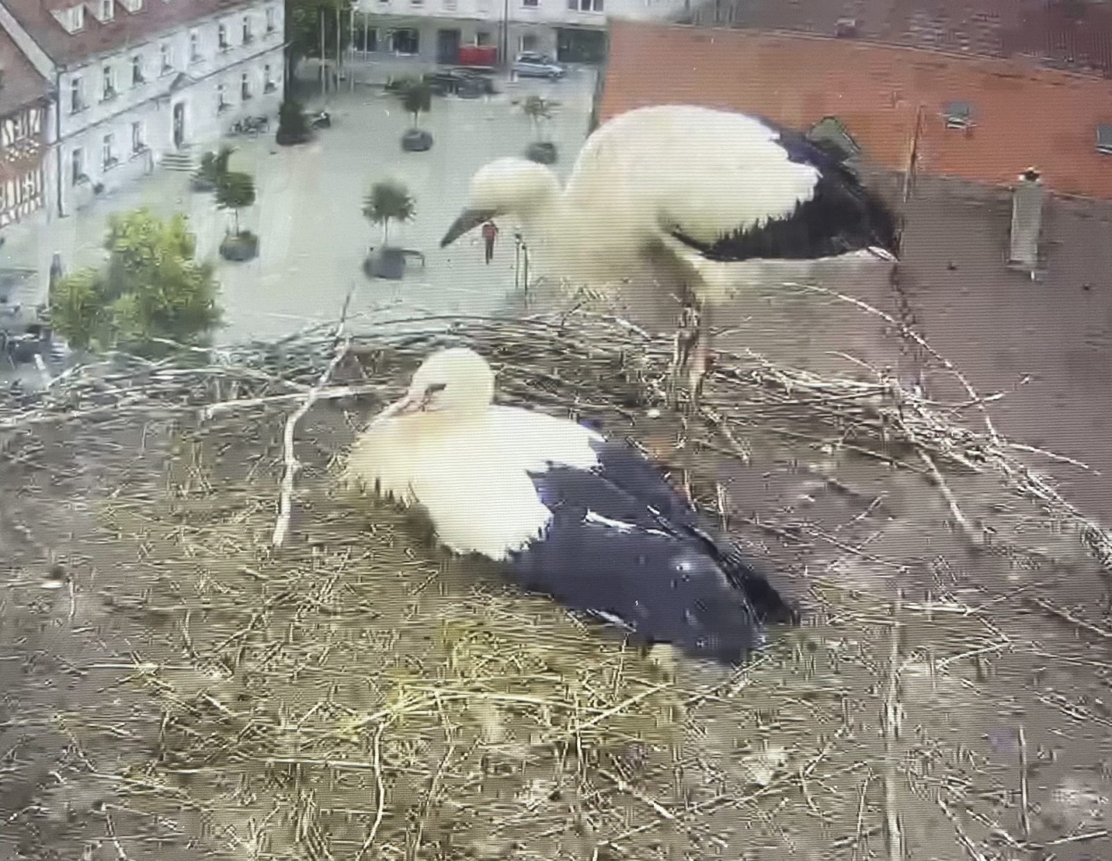 FC2CC431-EA73-4346-A9DE-0A84E8C5AF9A