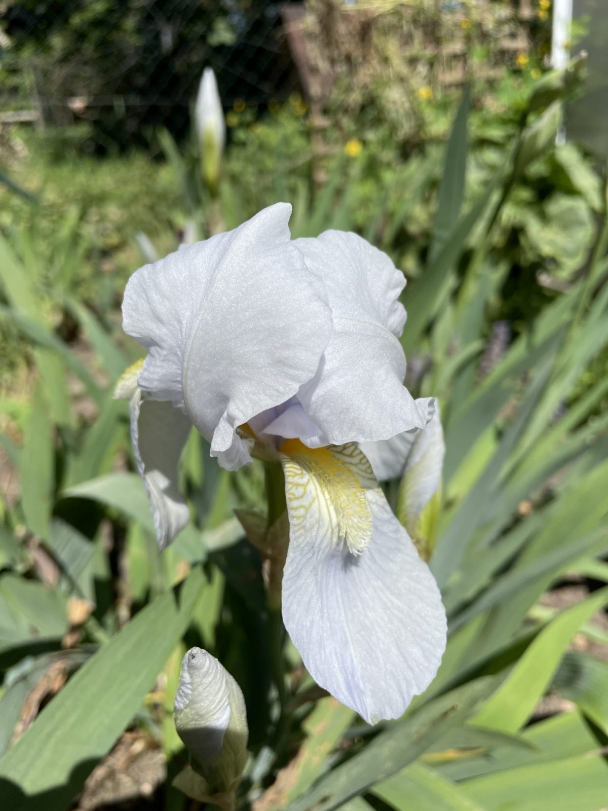 FC48B42F-2278-4DEB-85E8-91CCB2CDA651