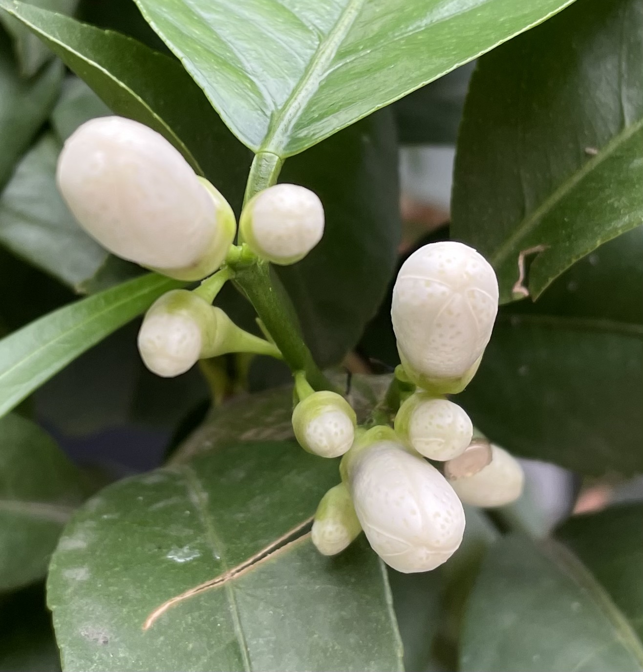 FCED5872-260D-4D5D-B500-403780850F80