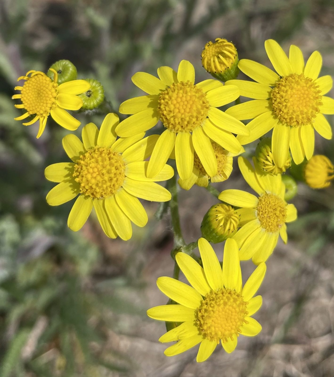 FD03CDAD-46F9-44D5-8C16-0F42705A1AD0