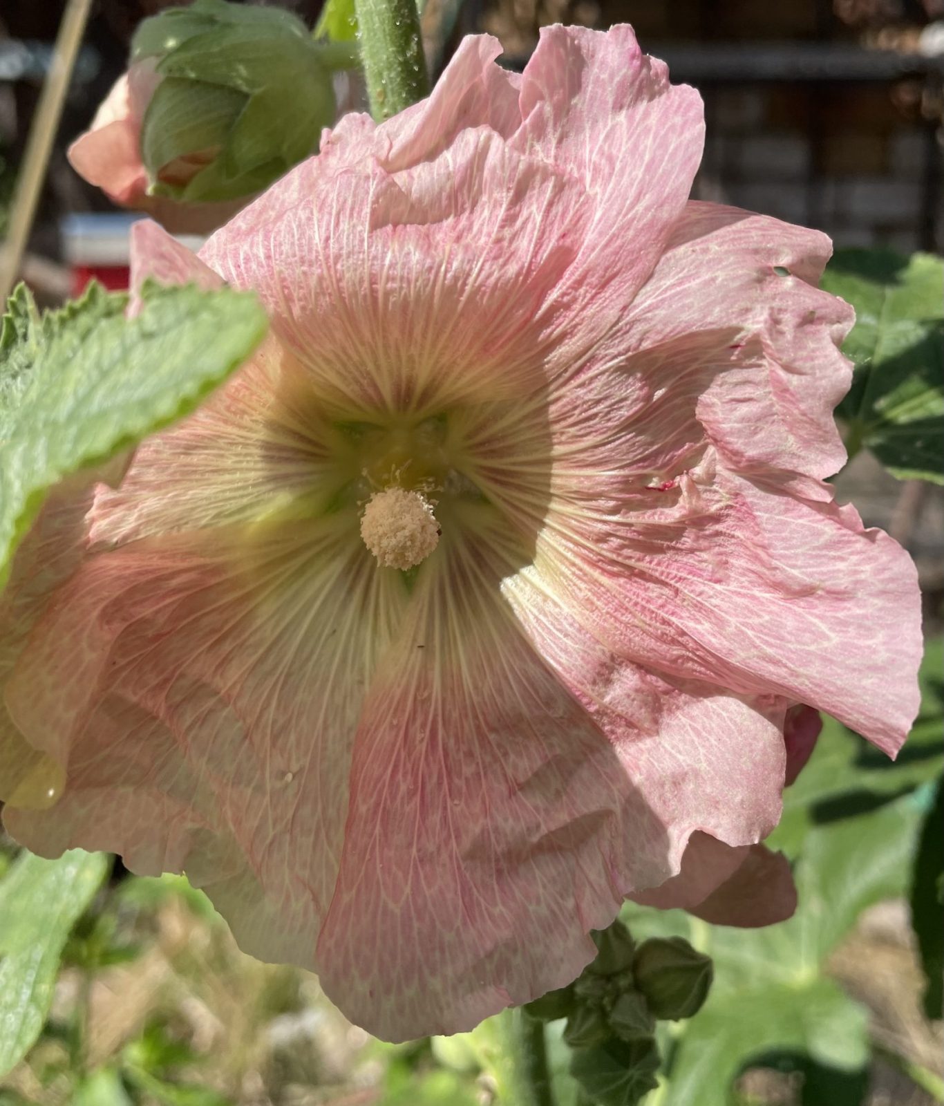 FD3AF9A4-5B7F-487F-9135-BE6D26D6E0C8