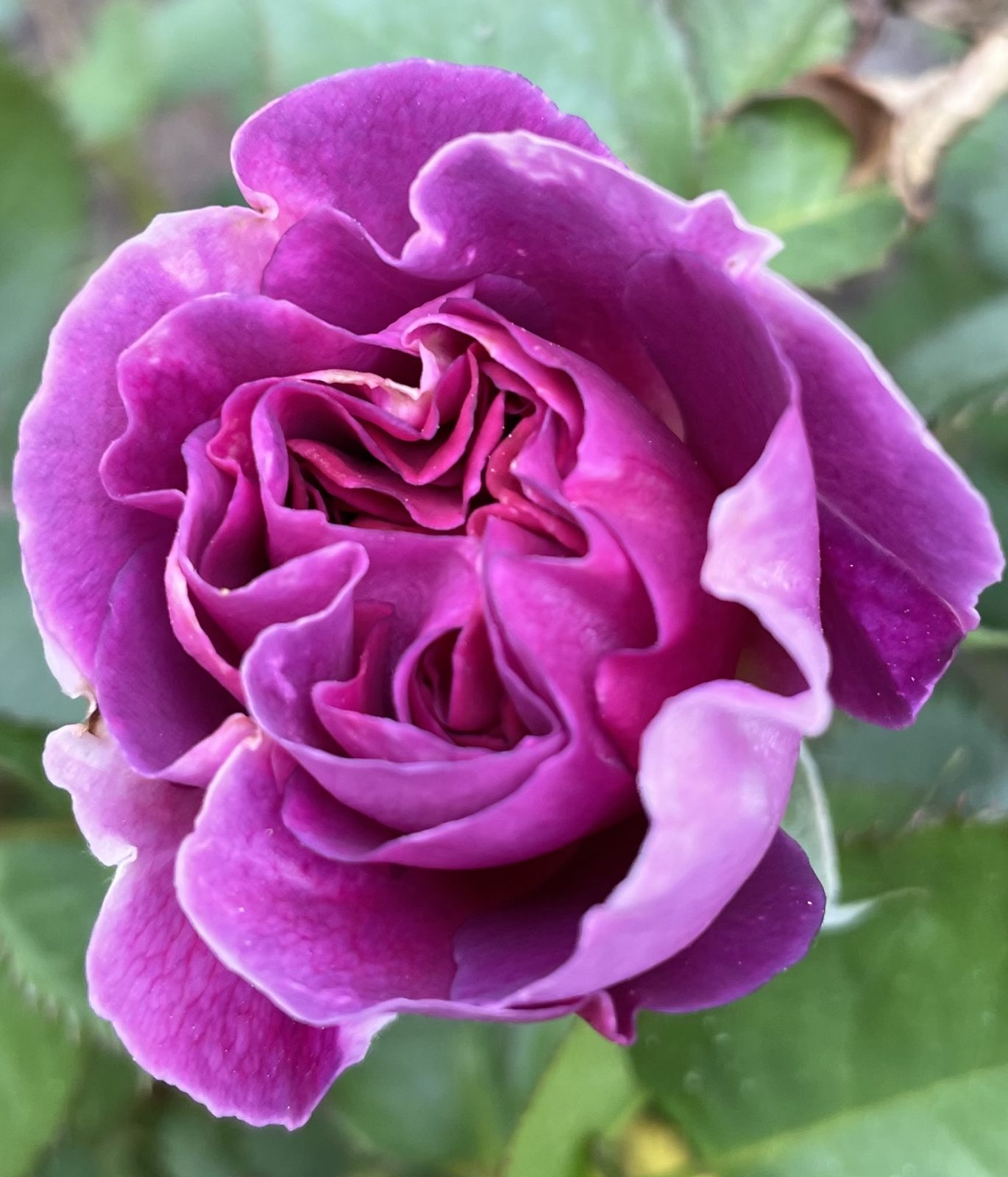 FD975842-1F2F-4B66-8825-0E779886288D