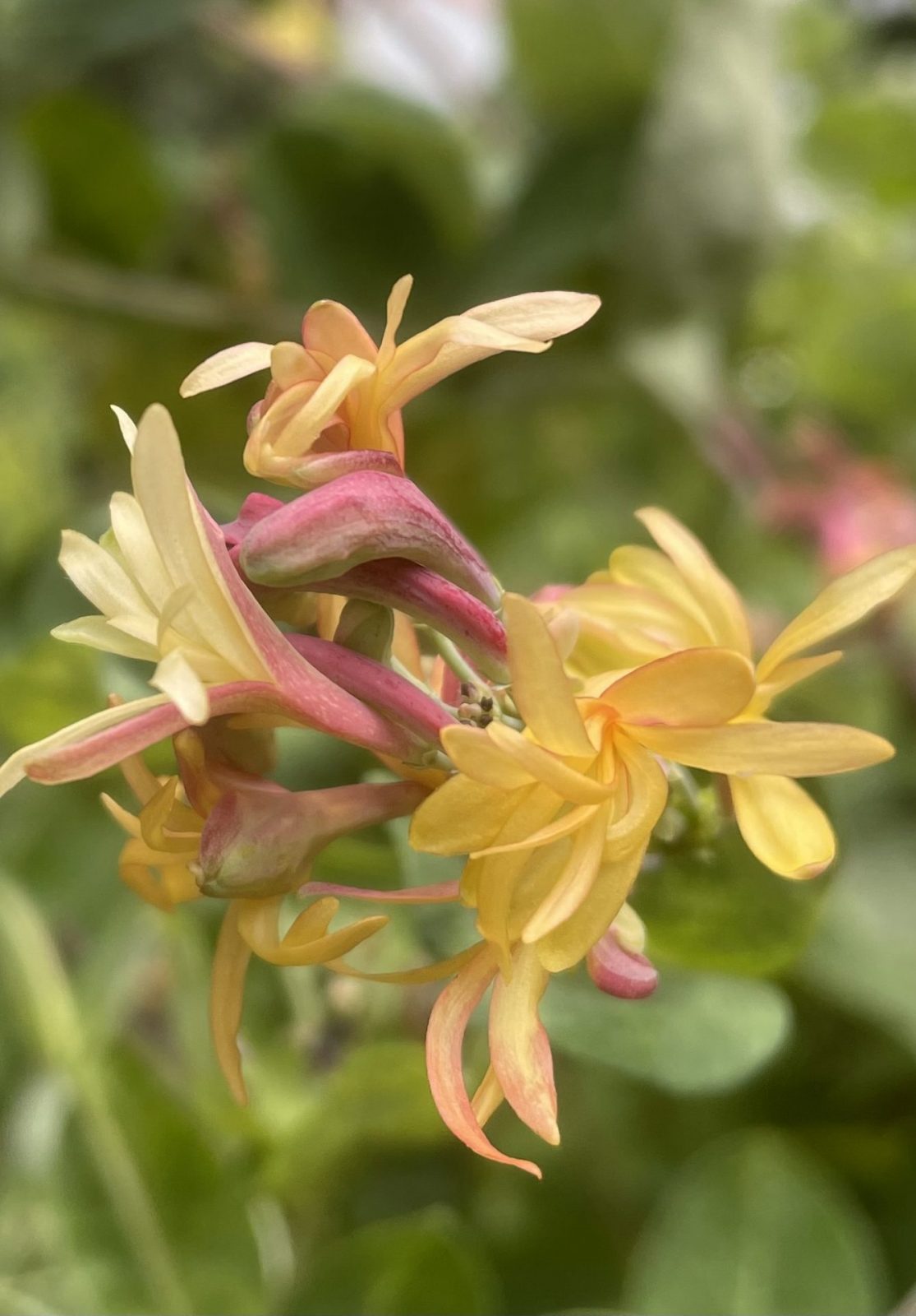 FDA44CA9-F8A6-4463-A9AA-2711E7F58D47