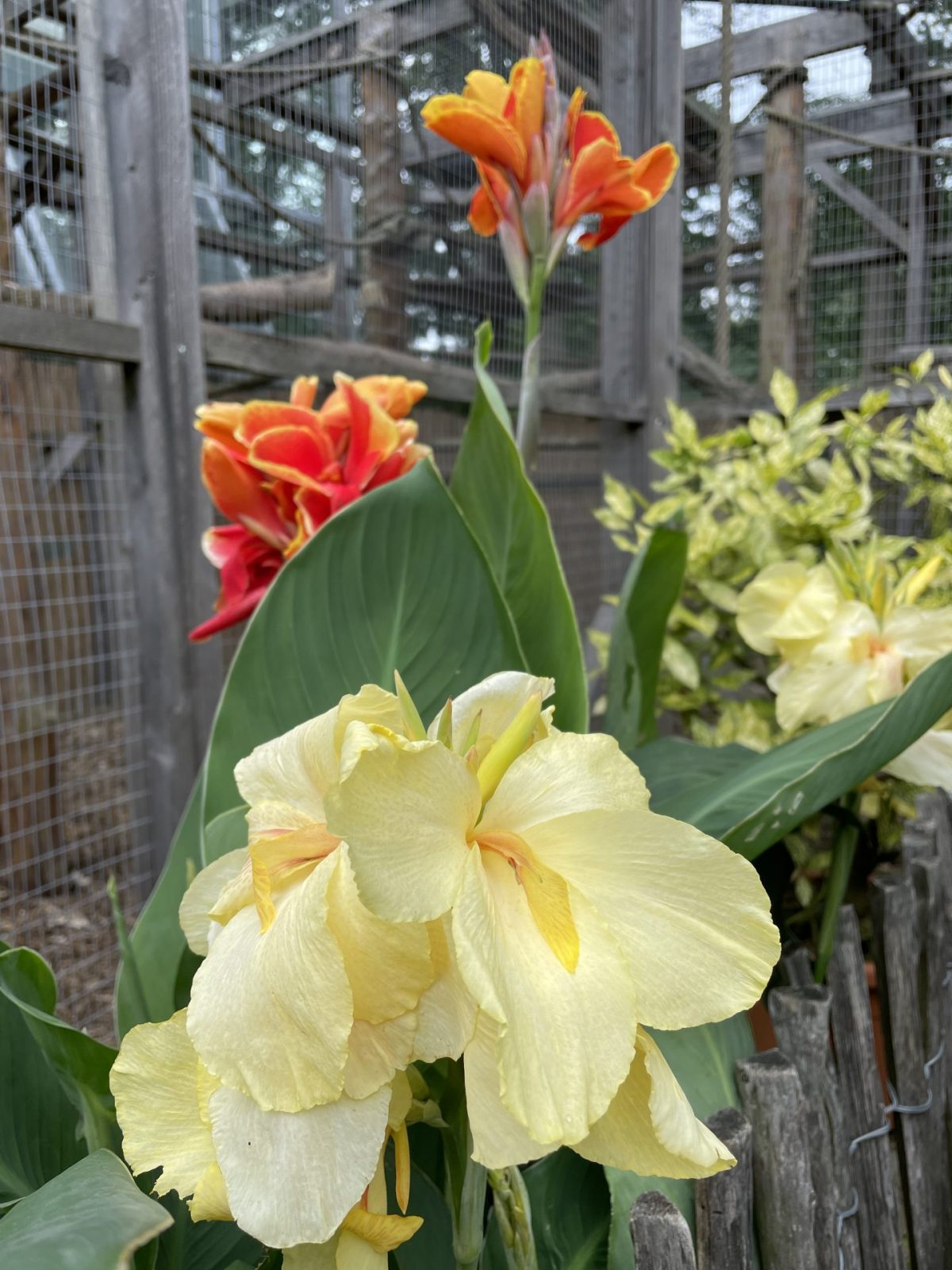 FDC3BC43-4F74-48B0-B972-8594EAB21262