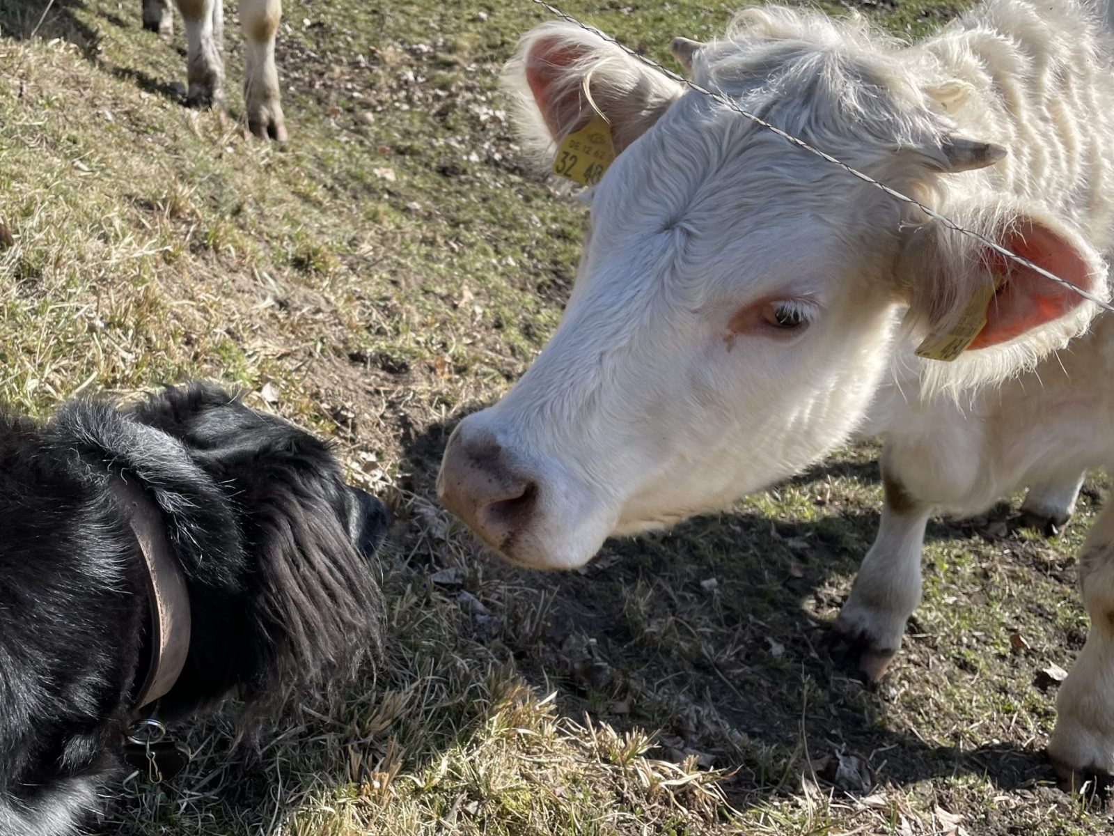 FE3B3223-C66C-4E95-8AFB-A67225A4A2AC